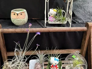 Happy Koi Nursery
