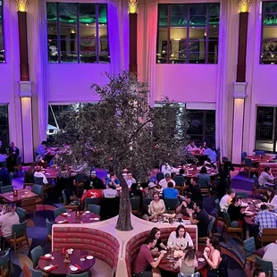 the interior of the restaurant