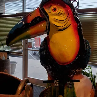 Toucans are native to Mexico and can be found from the lowland tropics to the mountains.