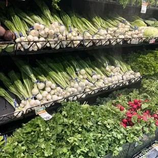 Sooooo Fresh &amp; sooooo clean