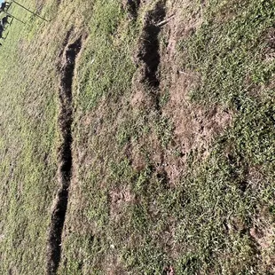 Destroyed my lawn with their trucks