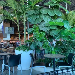 Seating area between Starbucks and wine bar