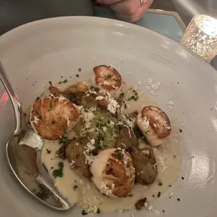 Scallops