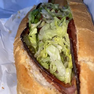 From the back( cross section)