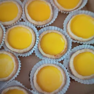 Egg Custards