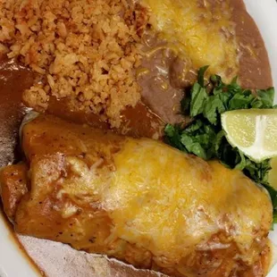 CARNE ASADA BURRITO ENCHILADA TYLE