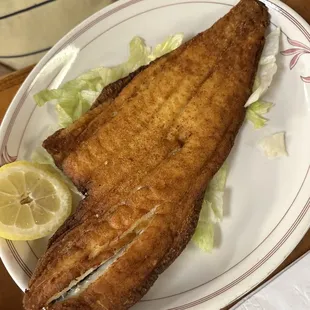 Fresh Flounder