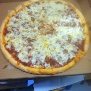A Large Meat Sauce Pizza.