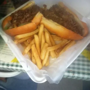 Half Cheese Steak Sub with Fries.