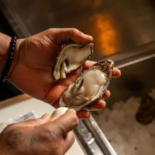 mussels, shellfish, oysters, food, oysters and mussels