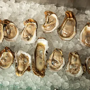 mussels, shellfish, oysters, food, oysters and mussels