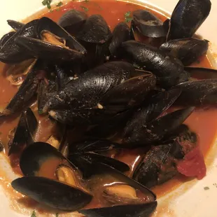 Mussels in red