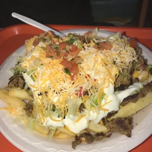 Carne Asada fries. Dank