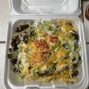 Carne Asada Fries ($12.99)