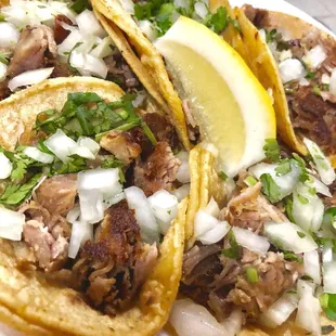 Carnita Tacos