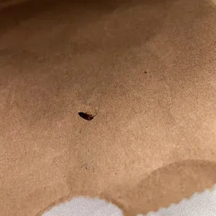 Cockroach in my rice