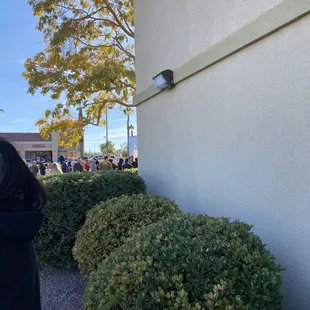 Line to pick up thanksgiving meals or pies