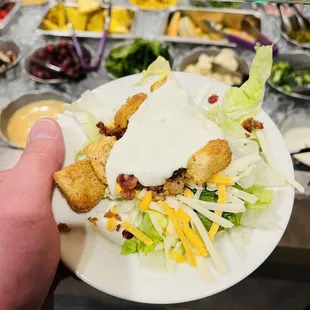 a hand holding a plate of food