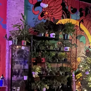 They sell plants!