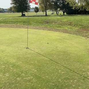 Greens and course in pretty rough shape.