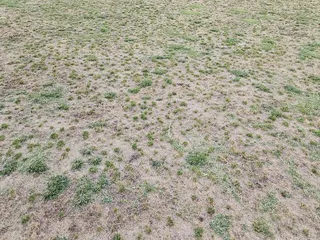 Tiffany Greens Golf Club