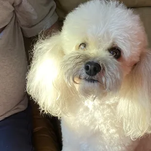 This is Ted the best Friend ever!