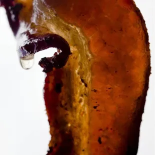 Bacon
