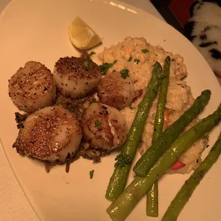 Sea Scallops
