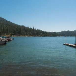 Views of Bass Lake