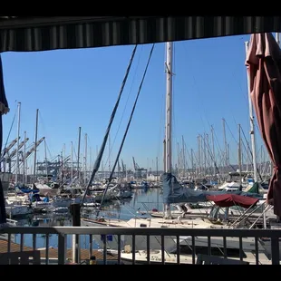 Patio view