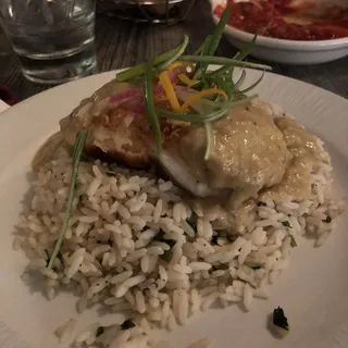 Grouper Del Sol