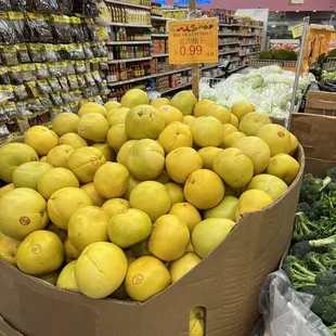 Red Meat Pumelo; $0.99 LB