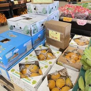 boxes of oranges and bananas