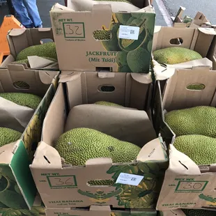 Jackfruit| Mit Tuoi