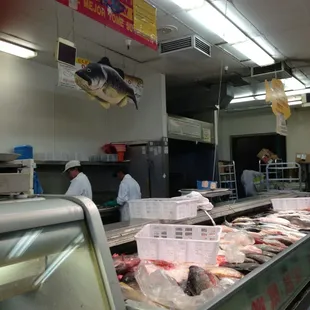 Fry the fish!!