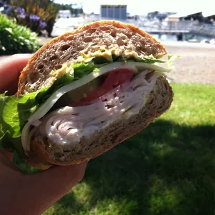 A turkey provolone with everything on it. :D