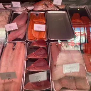 a variety of fish in a display case