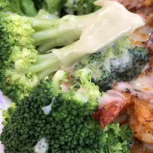 broccoli and chicken on a plate