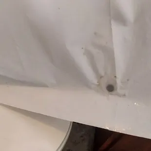 Shower curtain mold