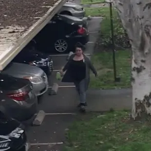 Nosey neighbor alert
