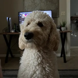 Garrison and Bailey F.