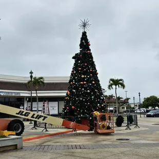 Outside... Christmas decor