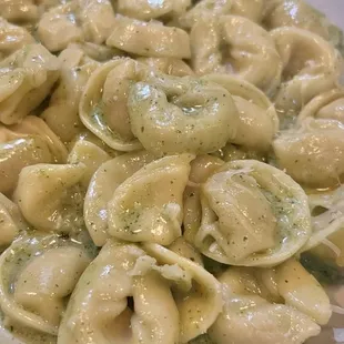 Pesto Tortellini