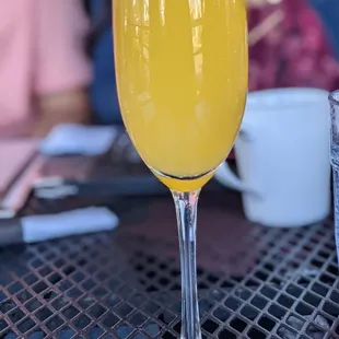 Mimosa