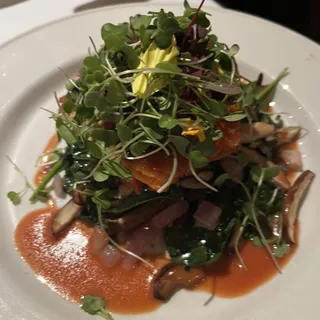 Loch Etive Steelhead Salmon