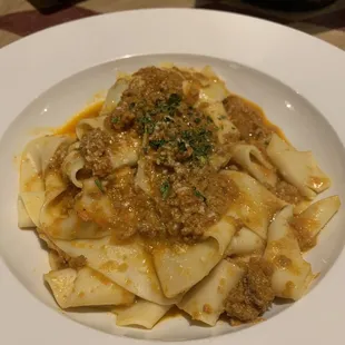 Bolognese