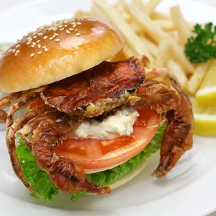 Soft Shell Crab