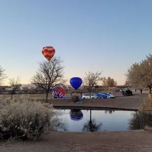 Balloons in the park