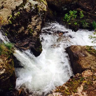 An easy walk from the Mariposa cabin.