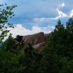 View from the back deck